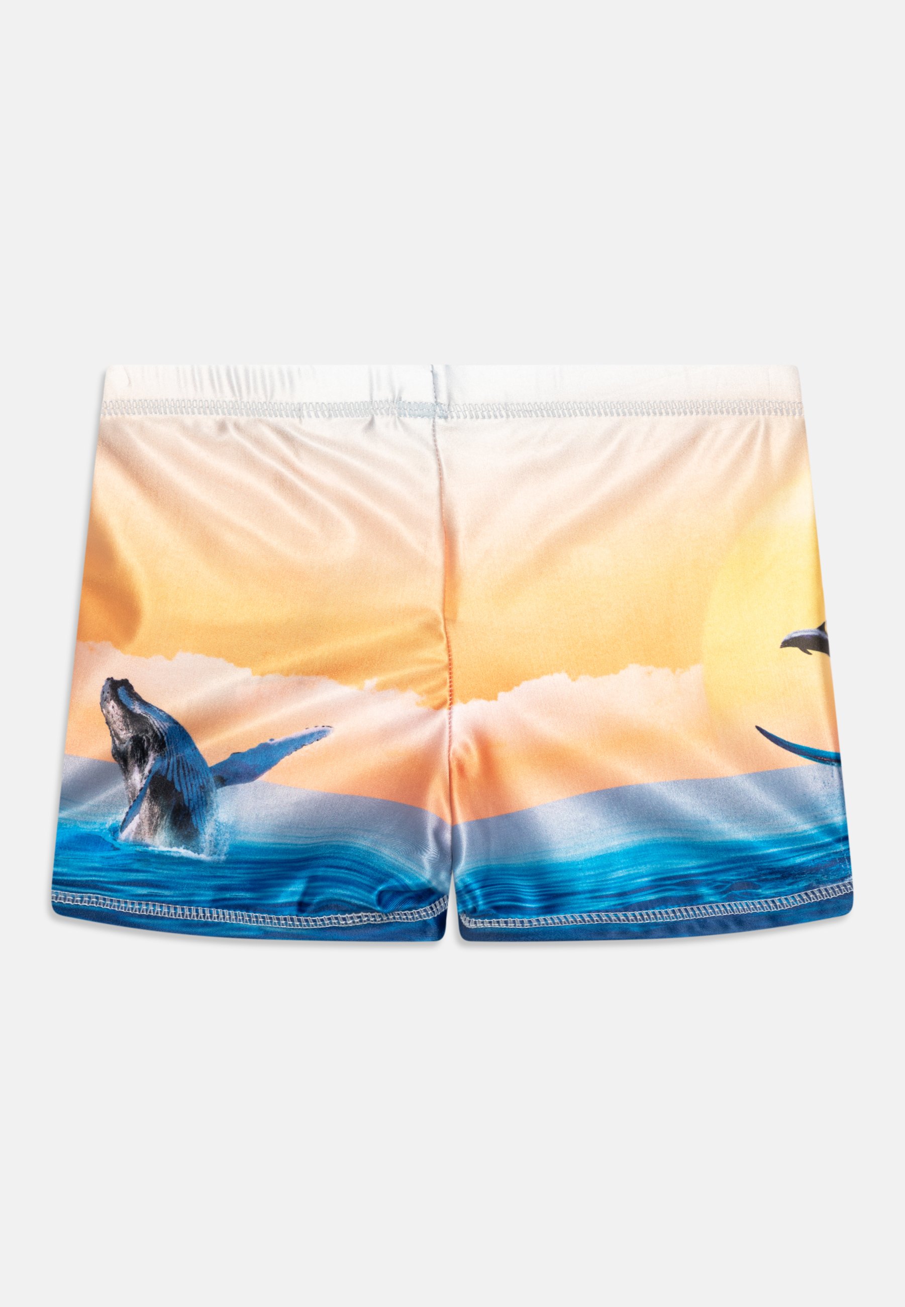 NORTON PLACED TRUNKS - Swimming trunks
