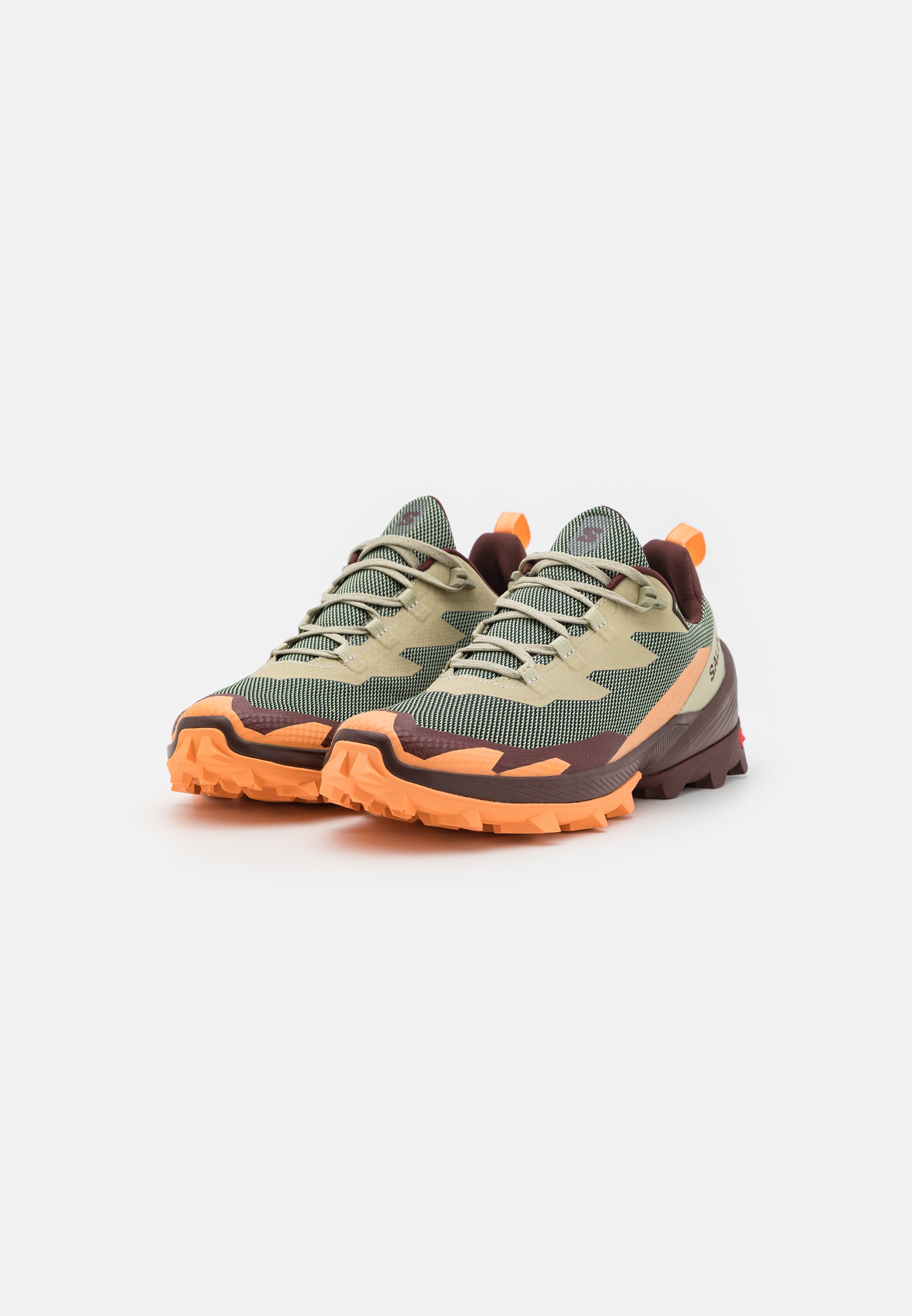 CROSS OVER 2 GTX - Hiking shoes