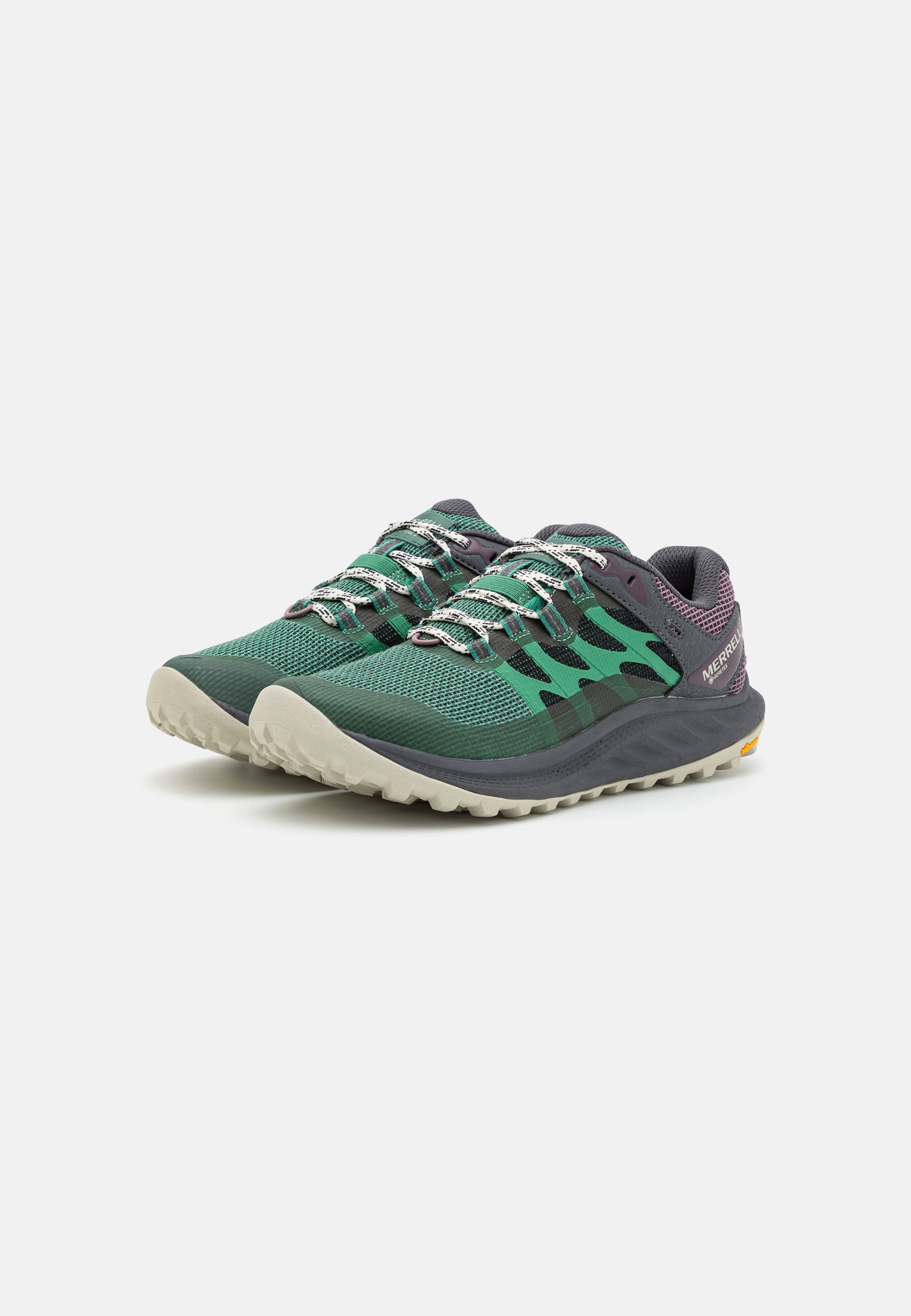 ANTORA 3 GTX - Hiking shoes