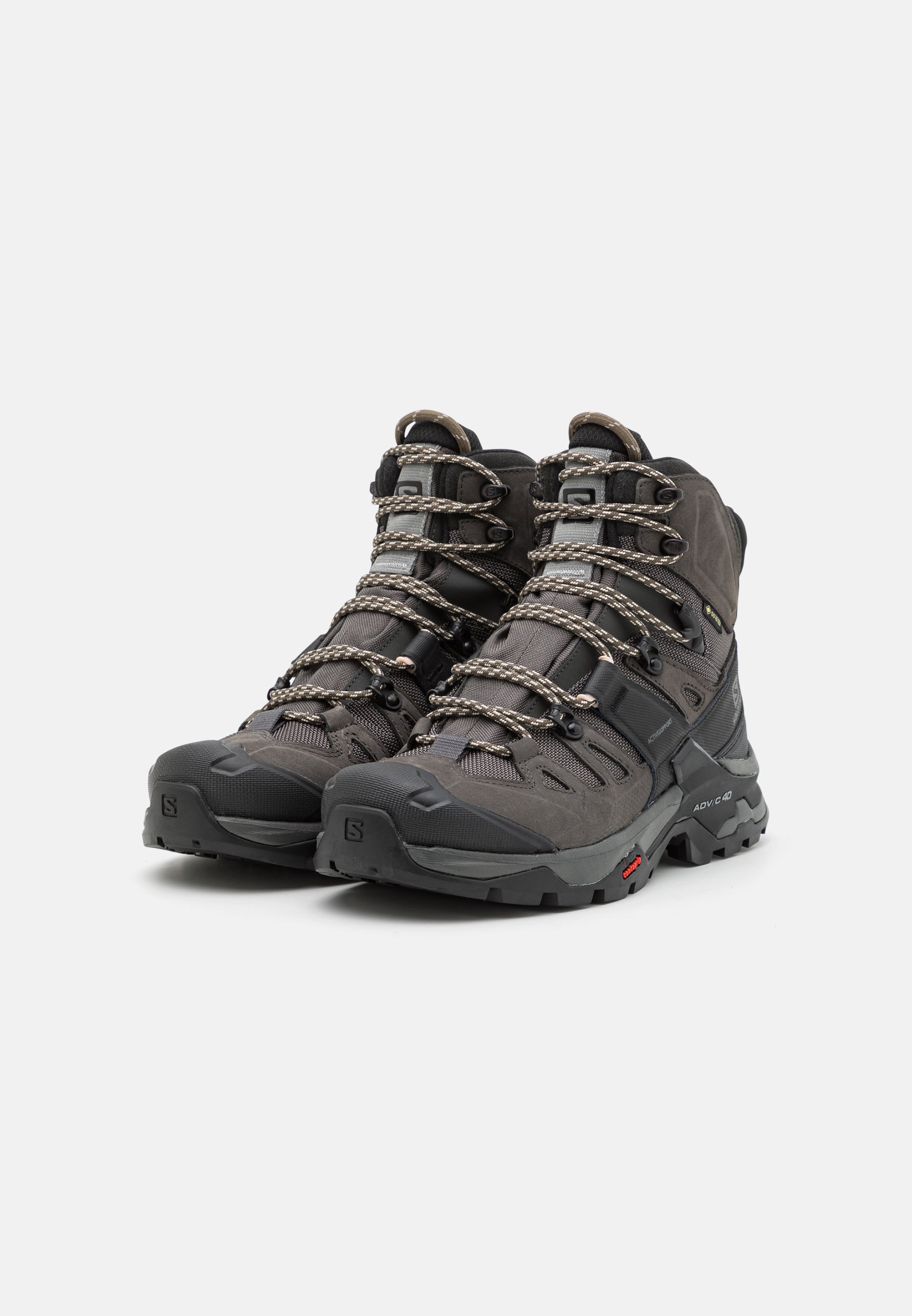 QUEST 4 GTX - Hiking shoes