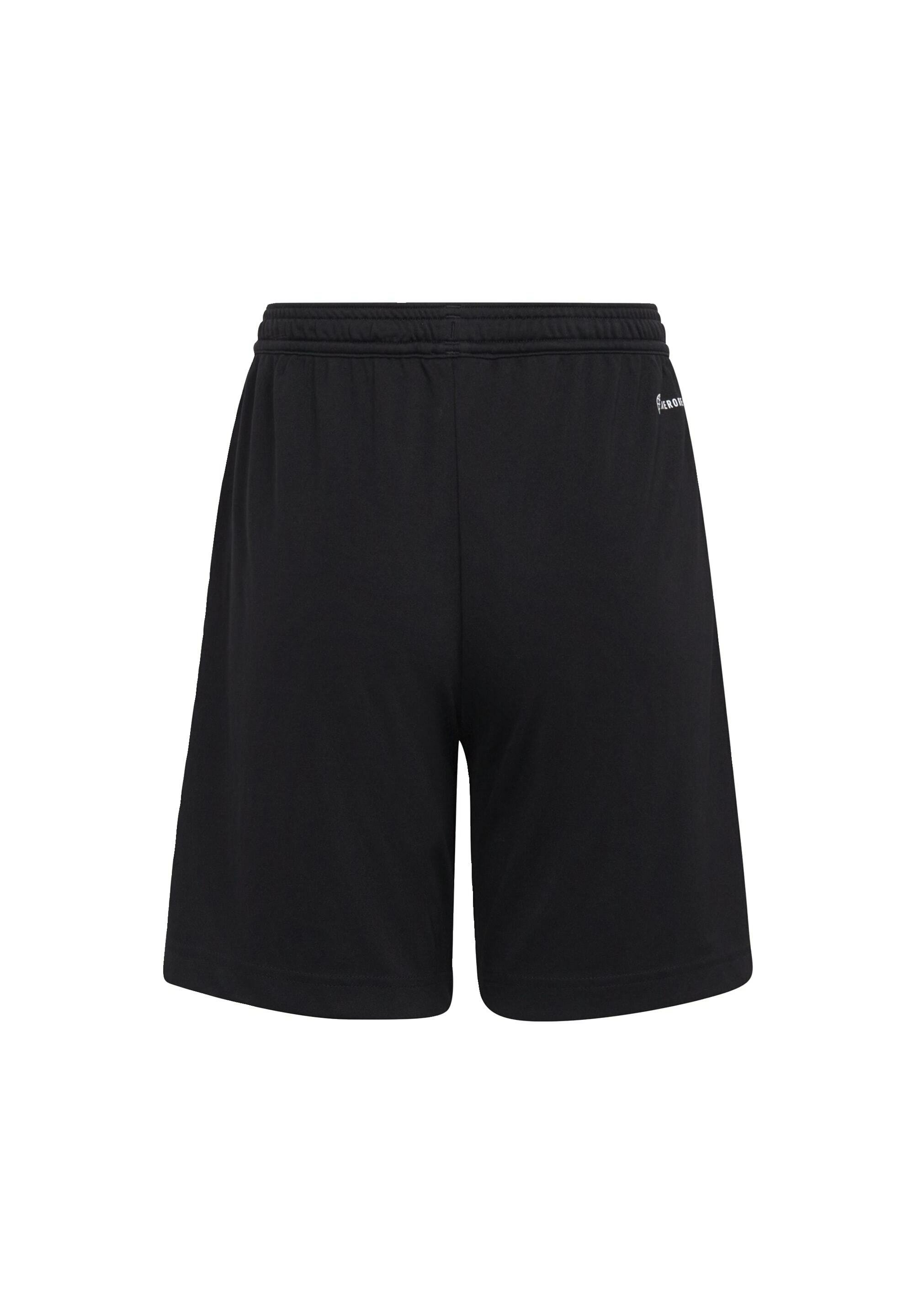 ENTRADA 22 - Sports shorts