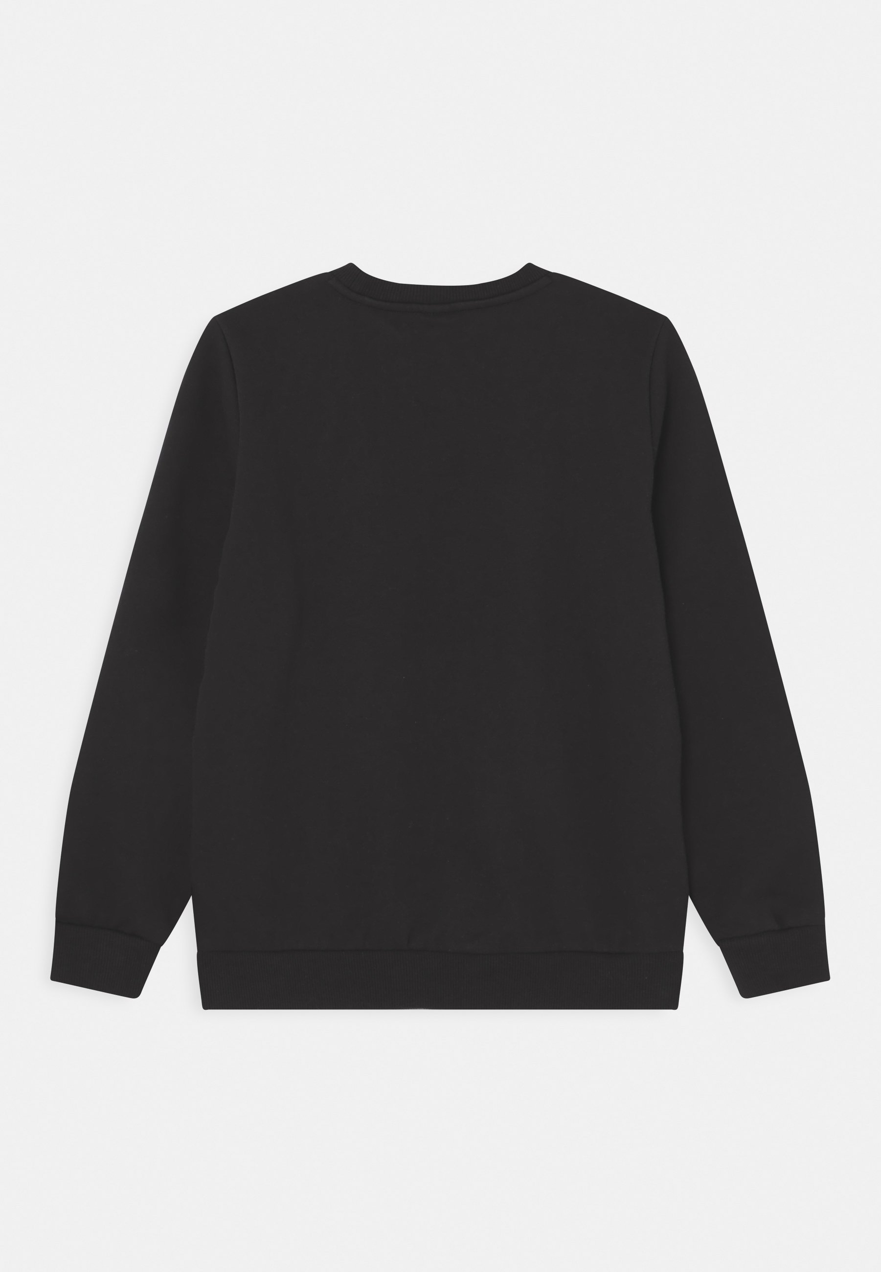 BIG LOGO CREW UNISEX - Sweatshirt