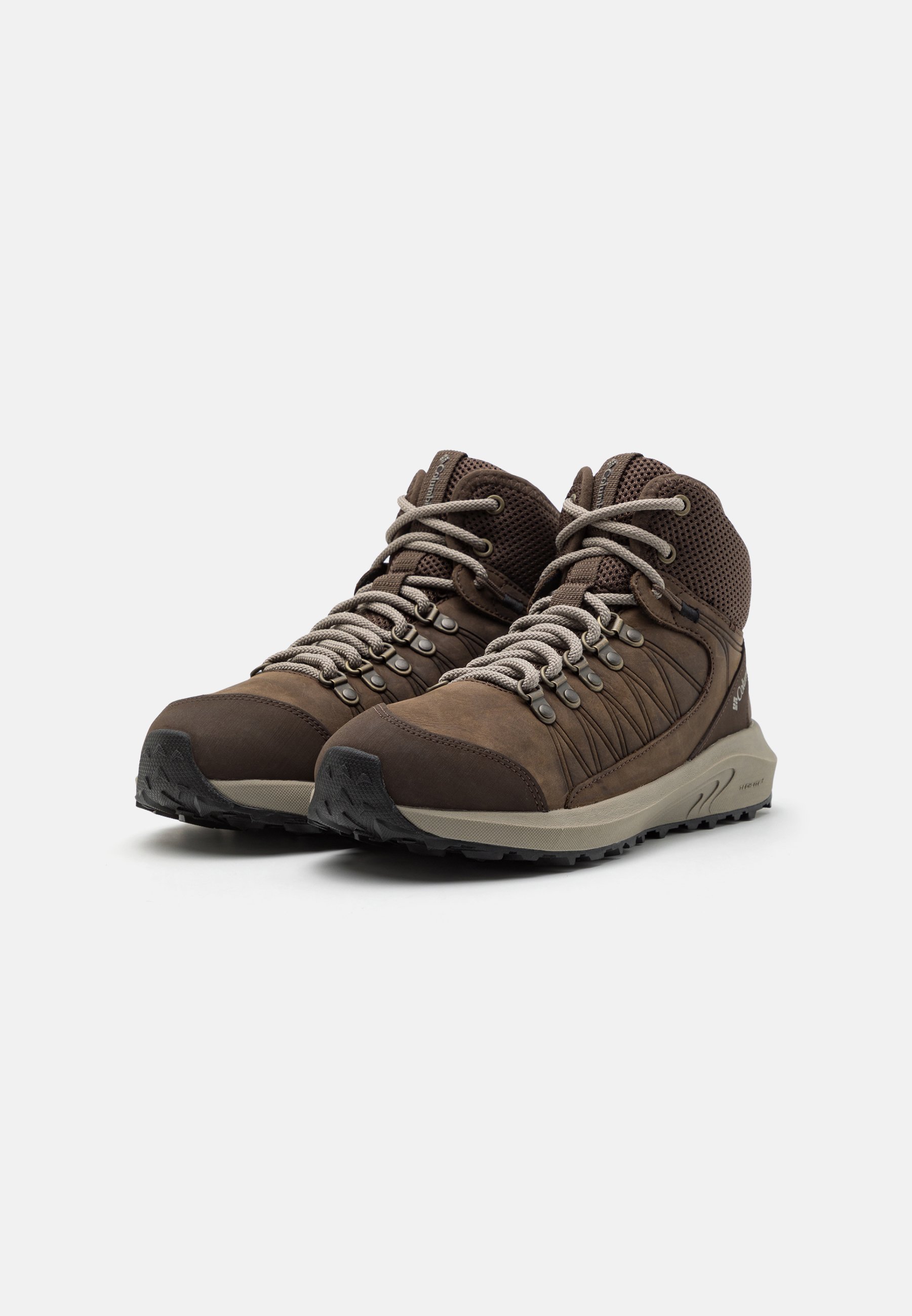 TRAILSTORM CREST - Hiking shoes