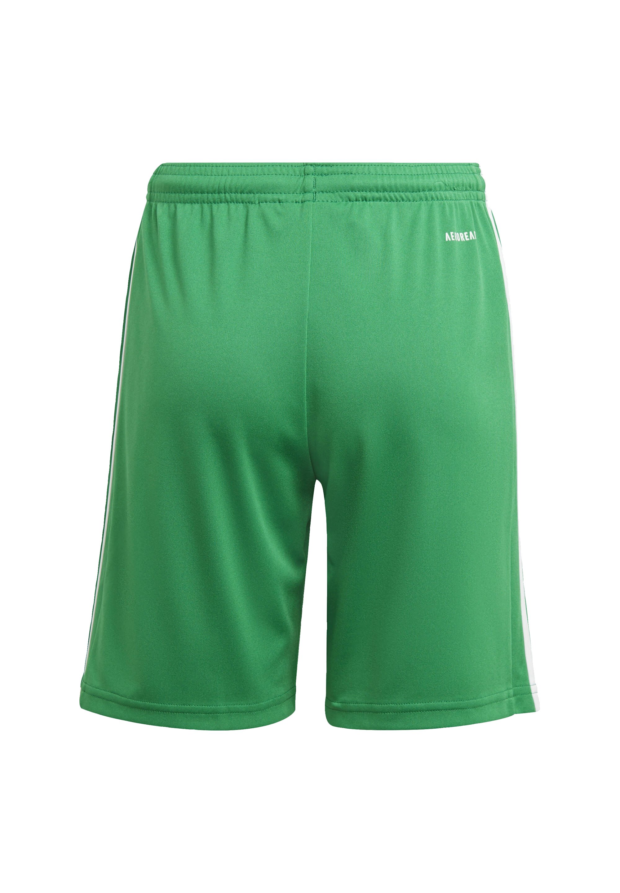 SQUADRA 21 - Sports shorts