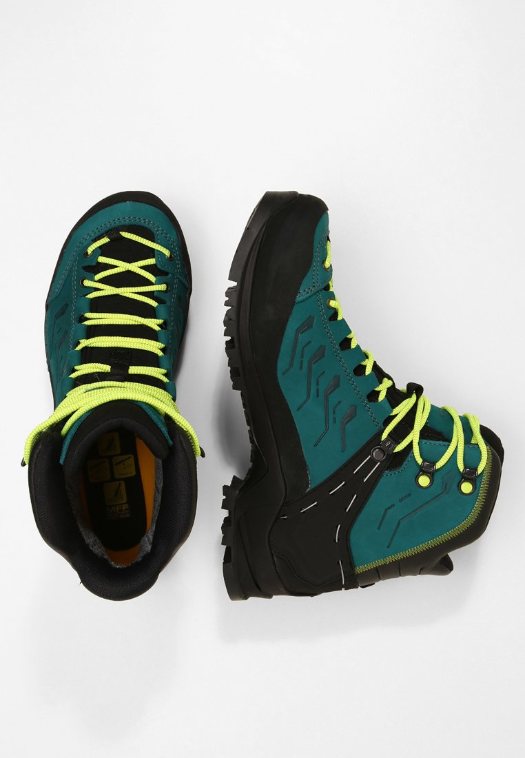 RAPACE GTX - Mountain shoes