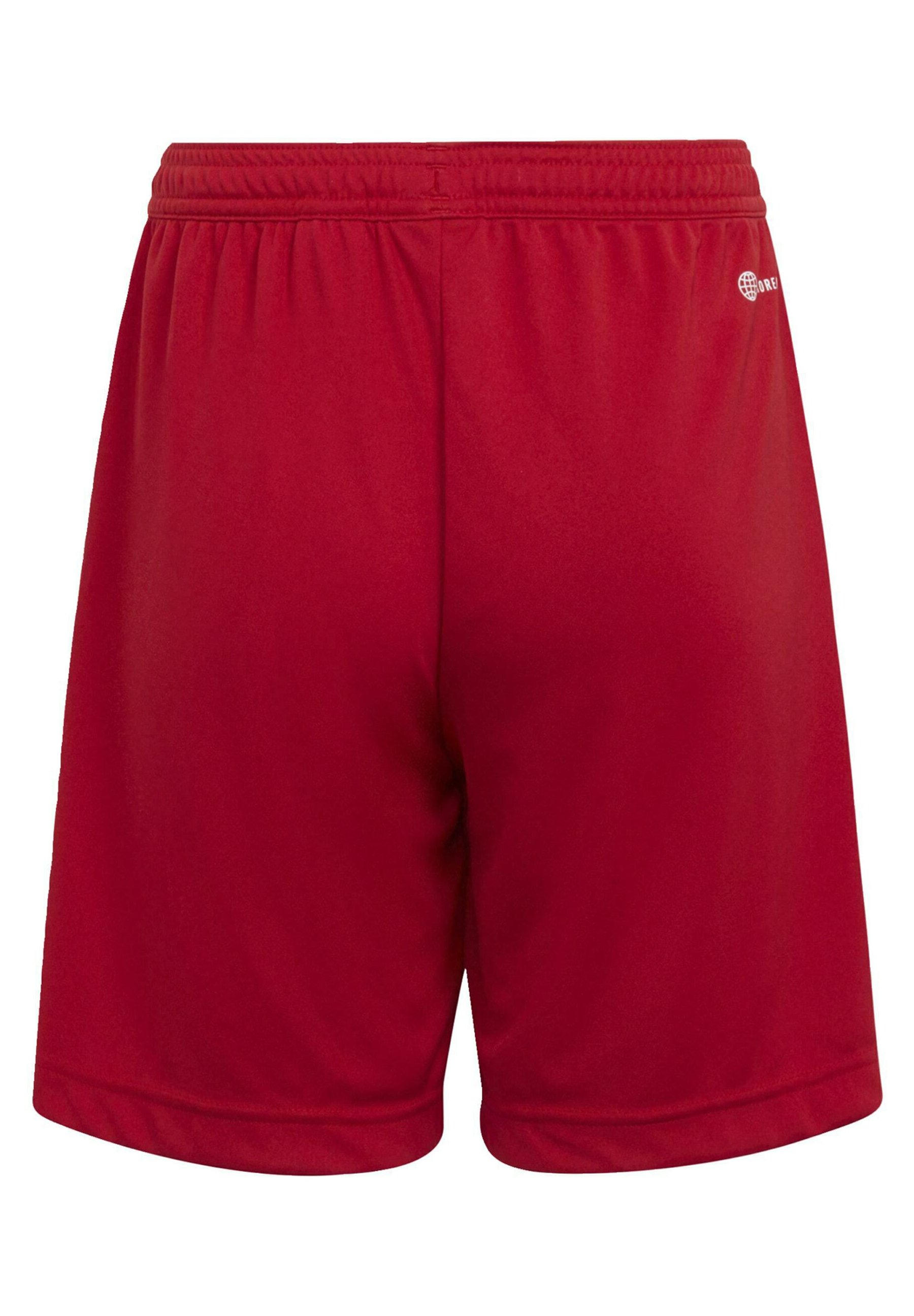 ENTRADA 22 - Sports shorts