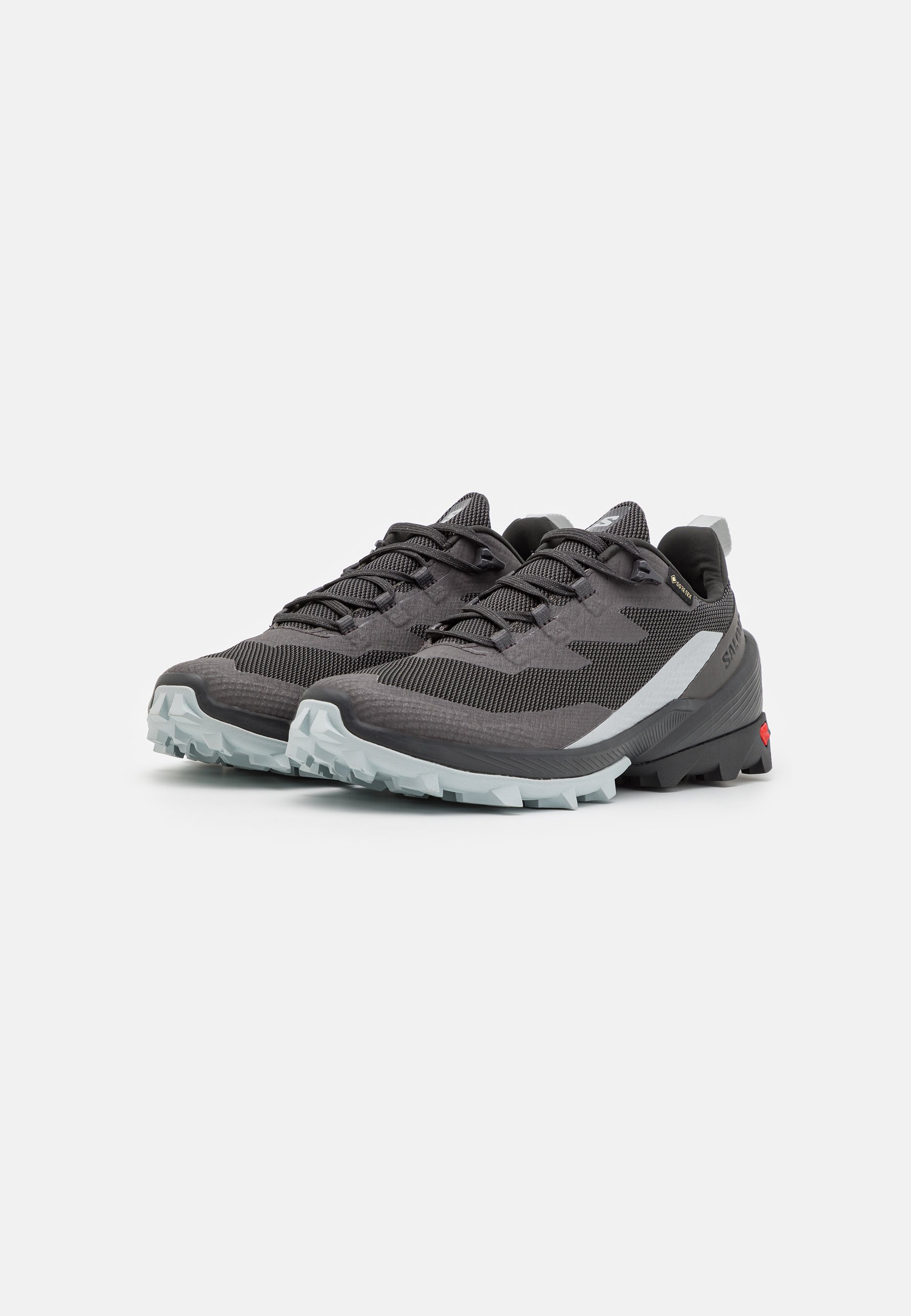CROSS OVER 2 GTX - Hiking shoes