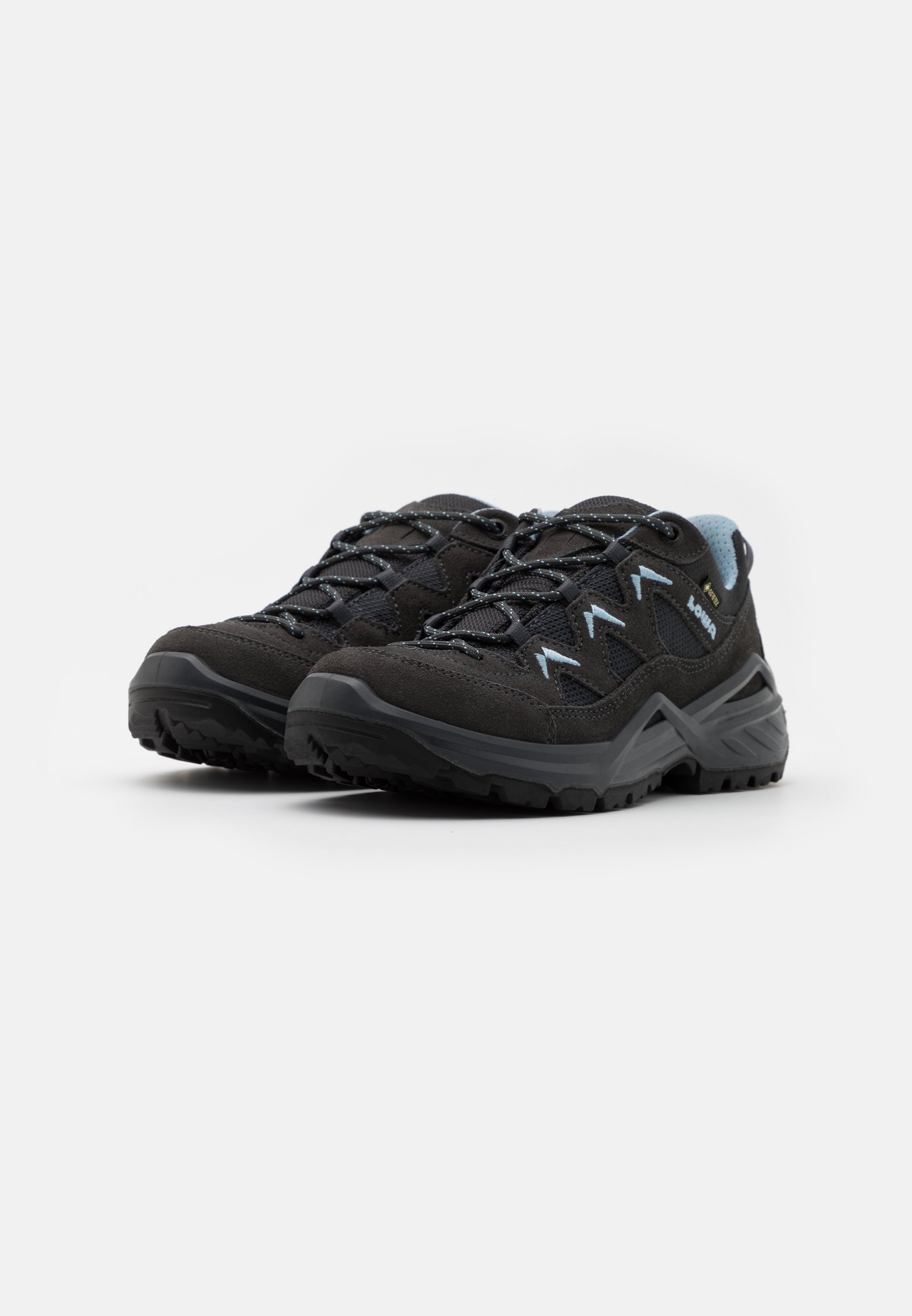 SIRKOS EVO GTX - Hiking shoes