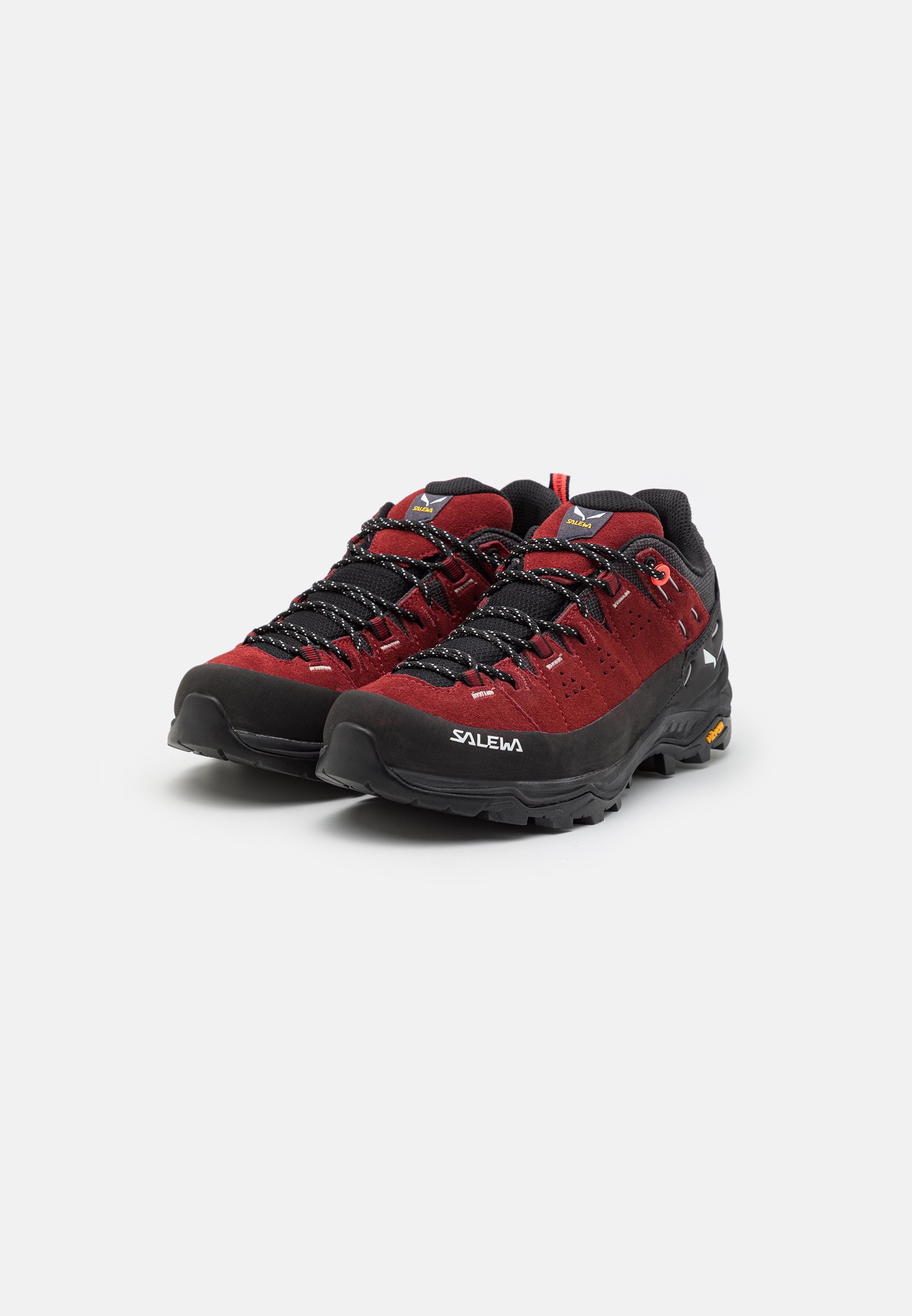 ALP TRAINER 2 GTX- Hiking shoes