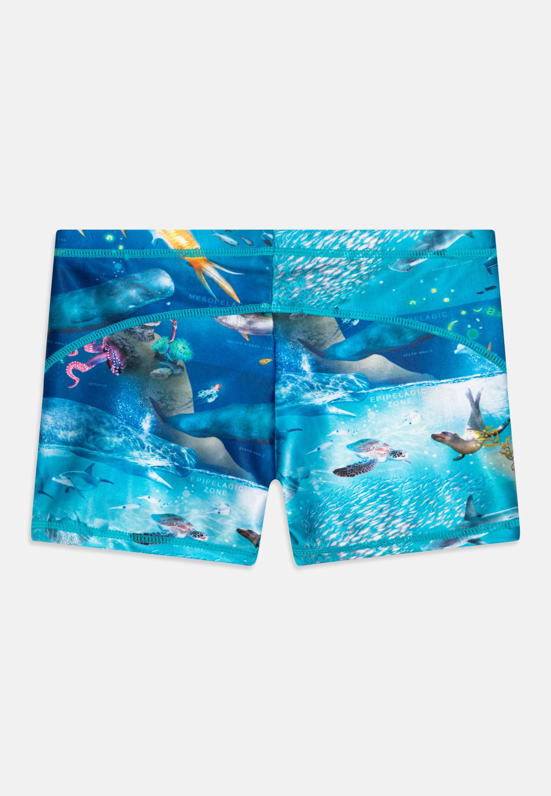 NORTON TRUNKS - Swimming trunks