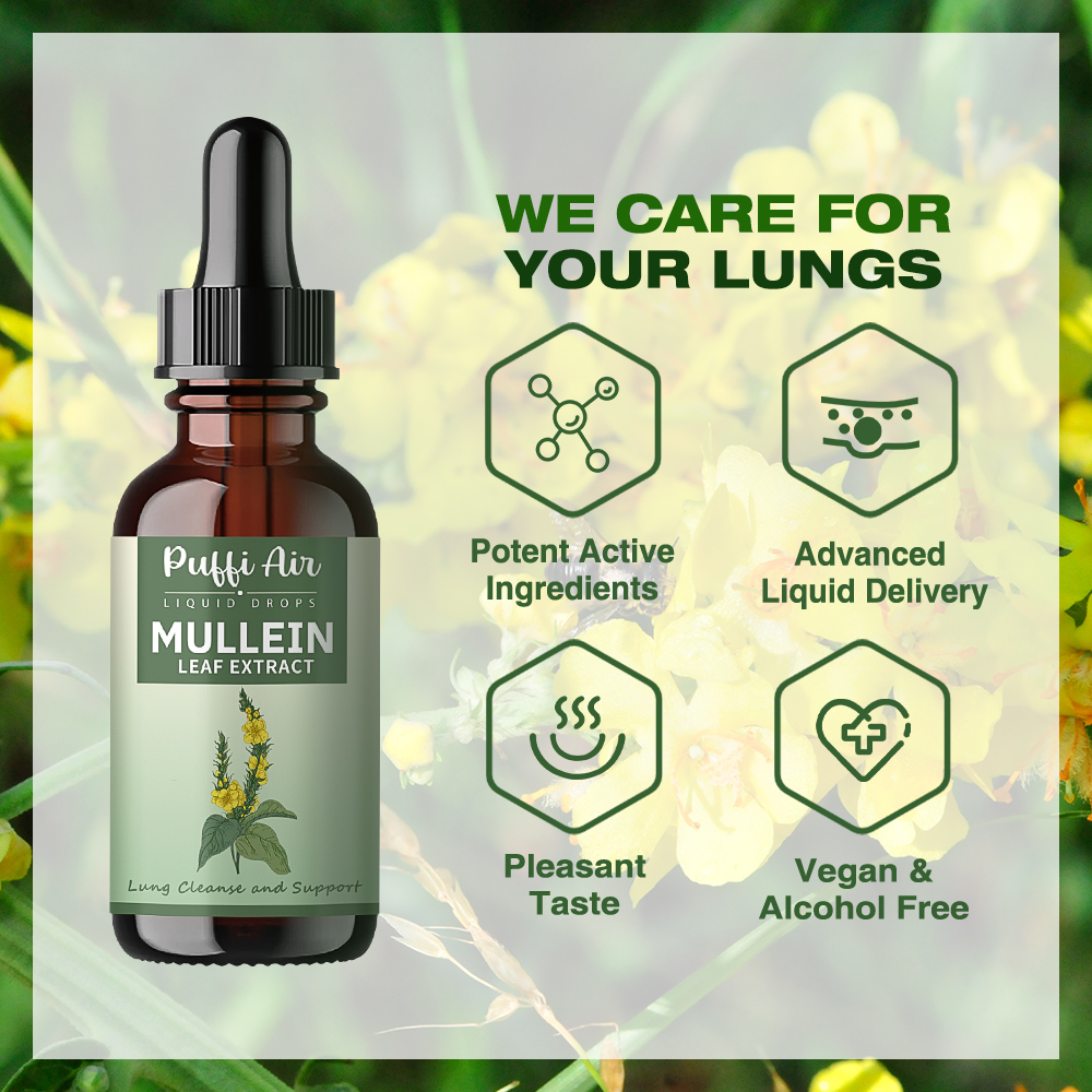Mullein Leaf Extract-30ml