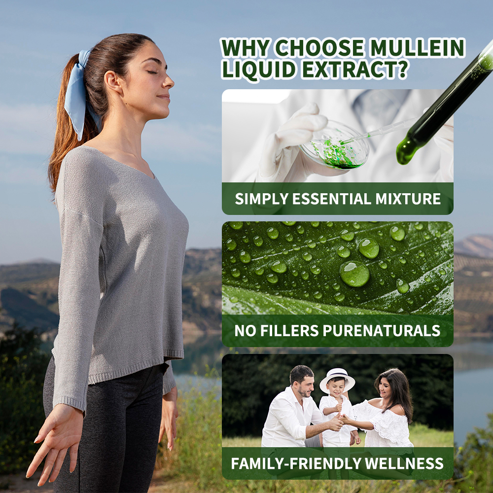 Mullein Leaf Extract-30ml