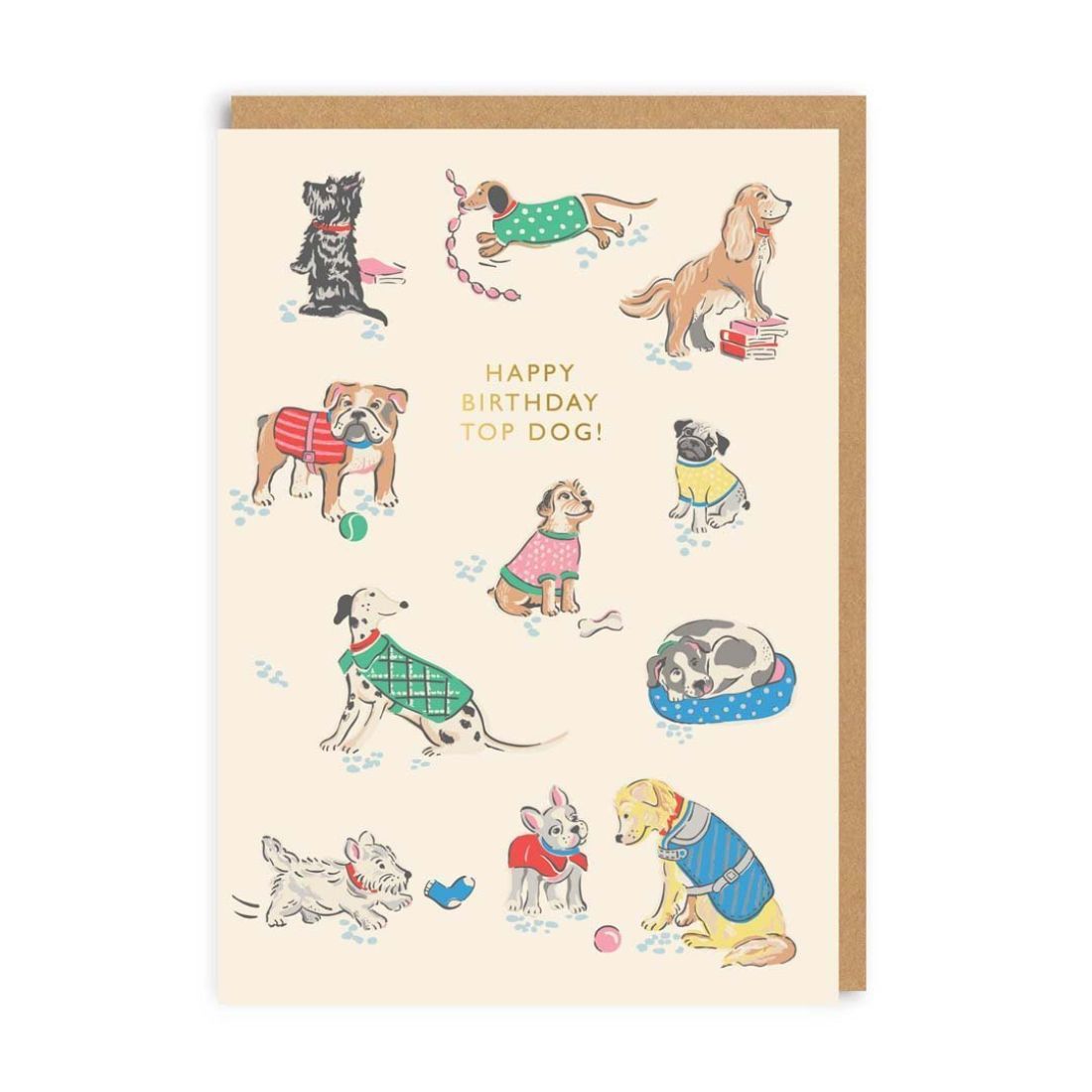 Happy Birthday Top Dog Greeting Card (A6)