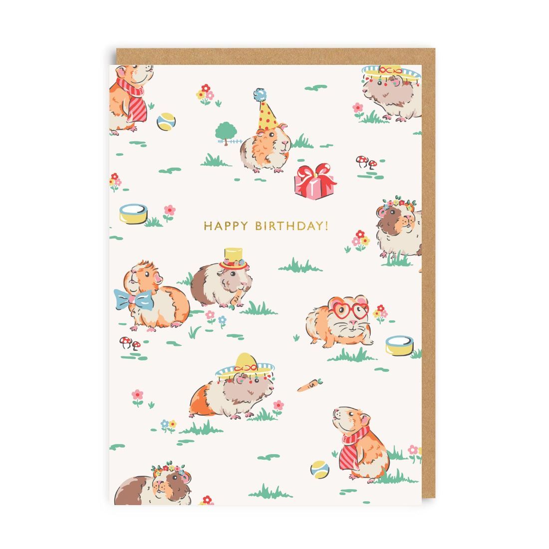 Guinea Pig Birthday Greeting Card (A6)