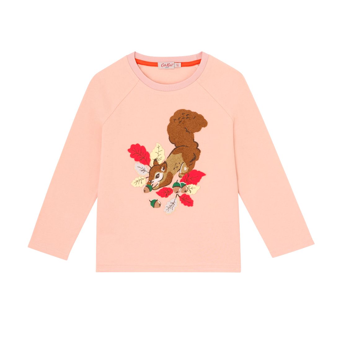 Garden Squirrels LS Raglan Sleeve T-shirt