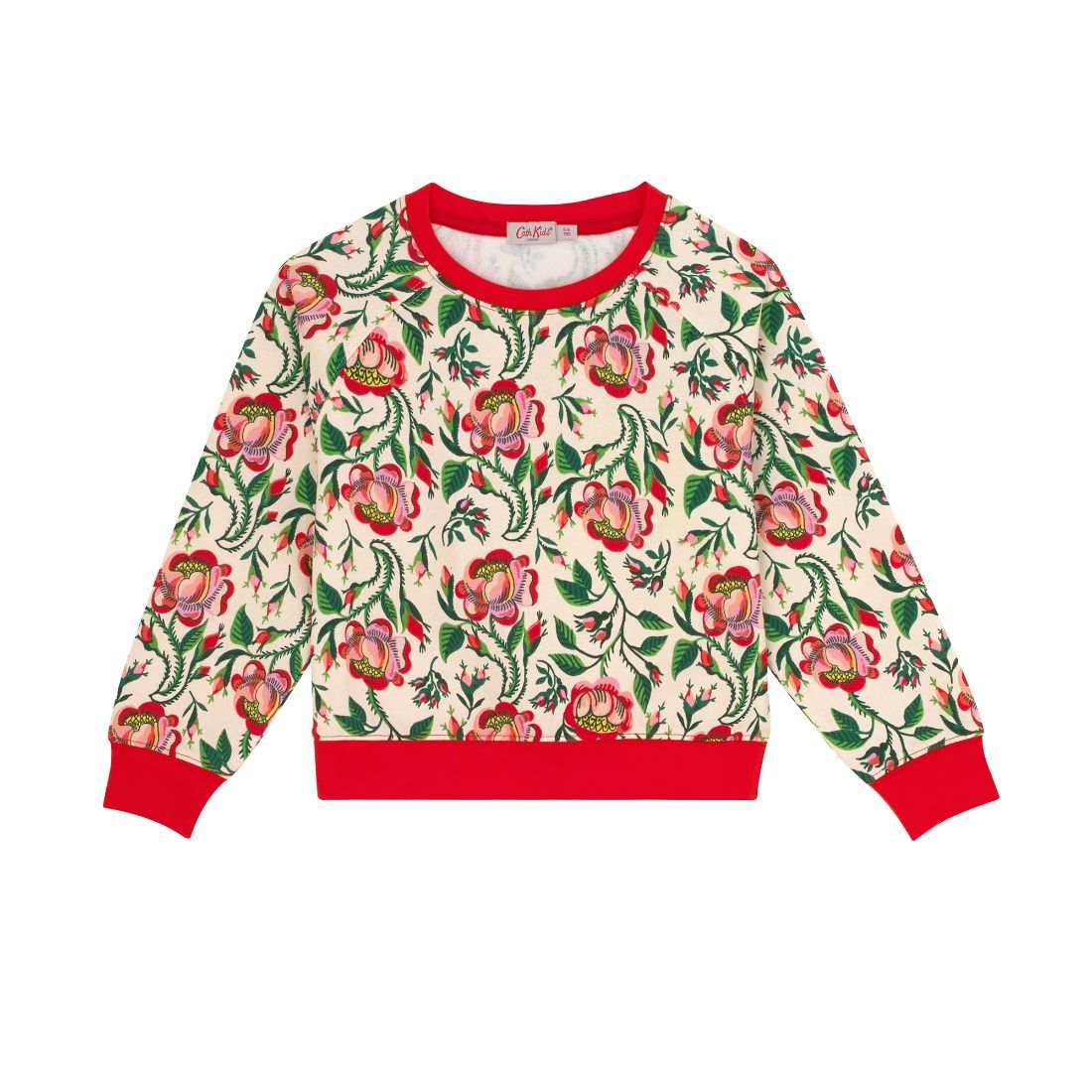 Precious Raglan Jumper