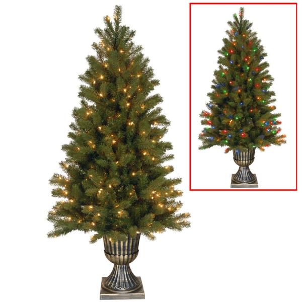 5 ft. Downswept Douglas Fir Entrance Tree with Dual Color LED Lights