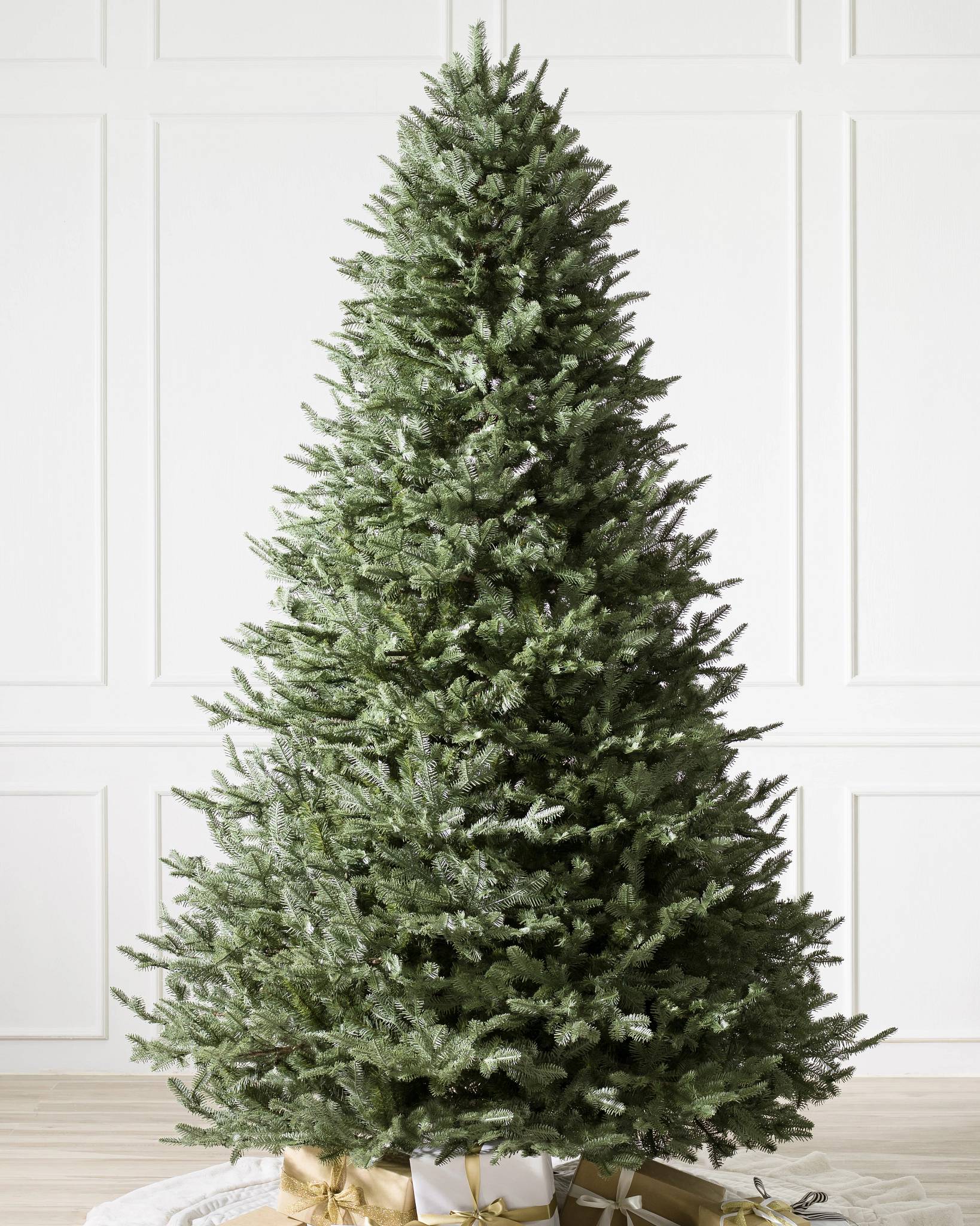 BH Balsam Fir?