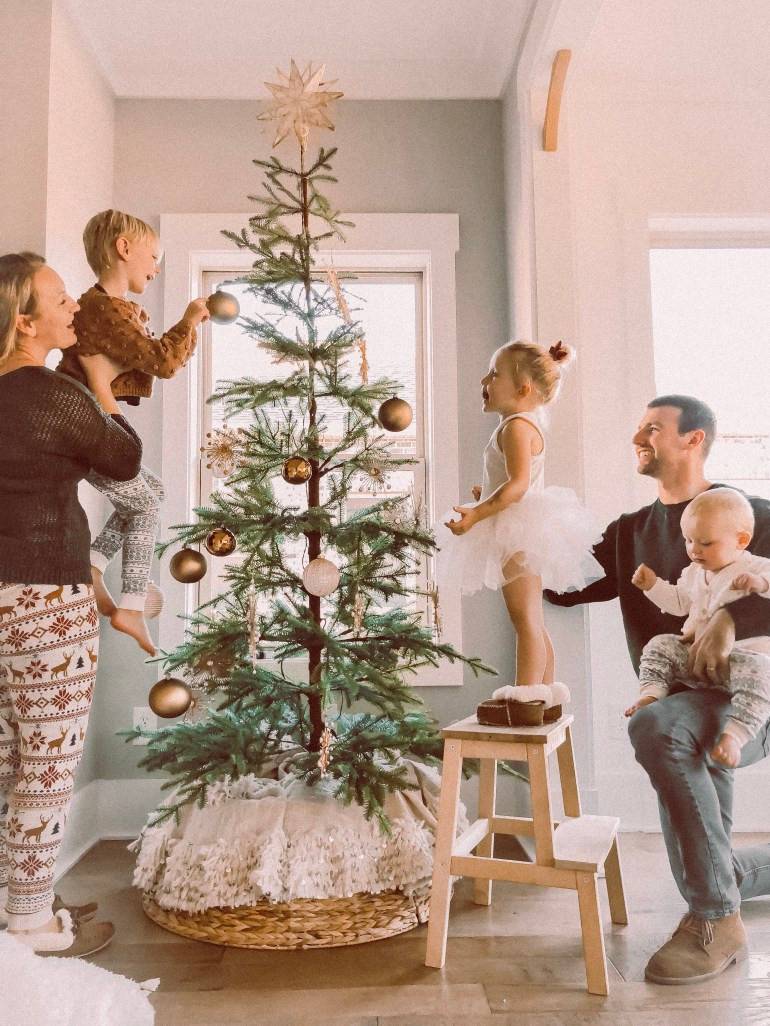 Alpine Balsam Fir? Tree