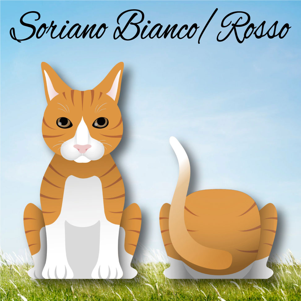 Cat Paw - Limited Edition