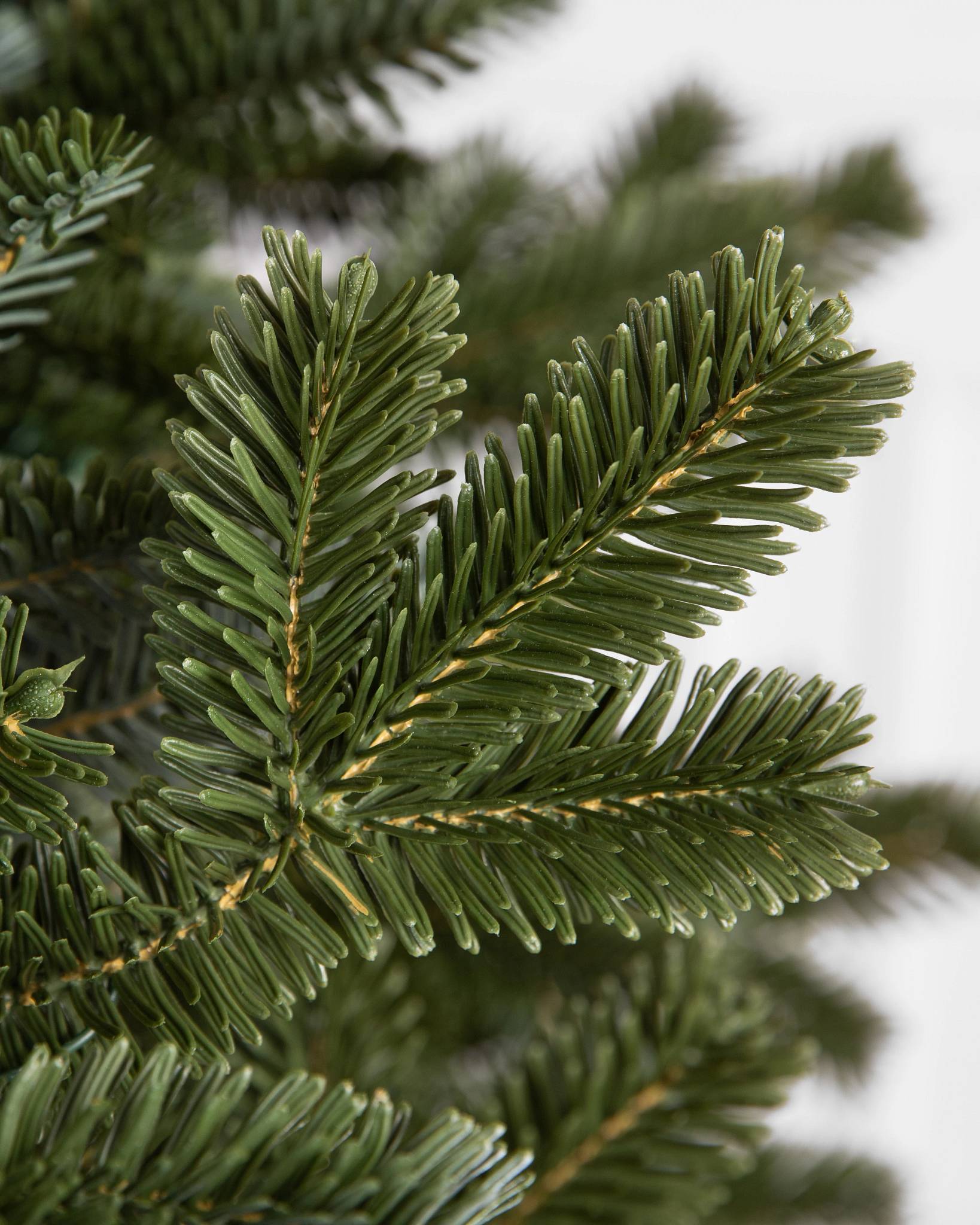 7-1/2 ft. Natural Fraser Medium Fir Hinged Artificial Christmas Tree with 1000 Multicolor Lights