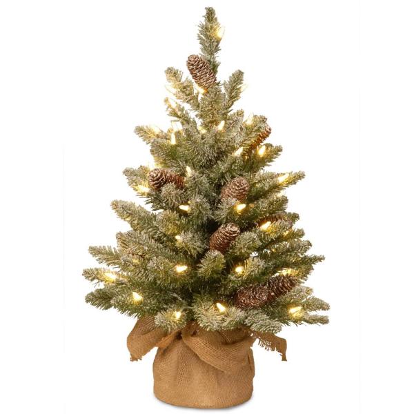 24 in. Snowy Concolor Fir Tree with Battery Operated LED Lights