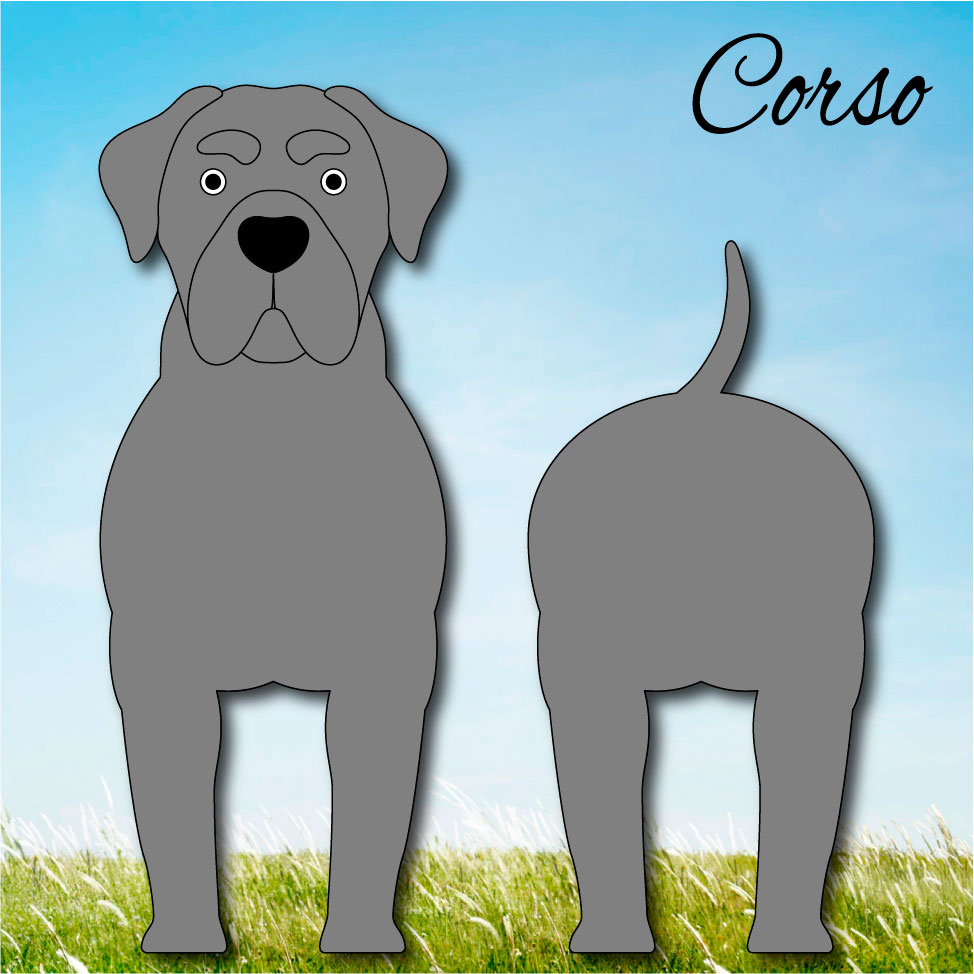 Funny Puppy - Limited Edition