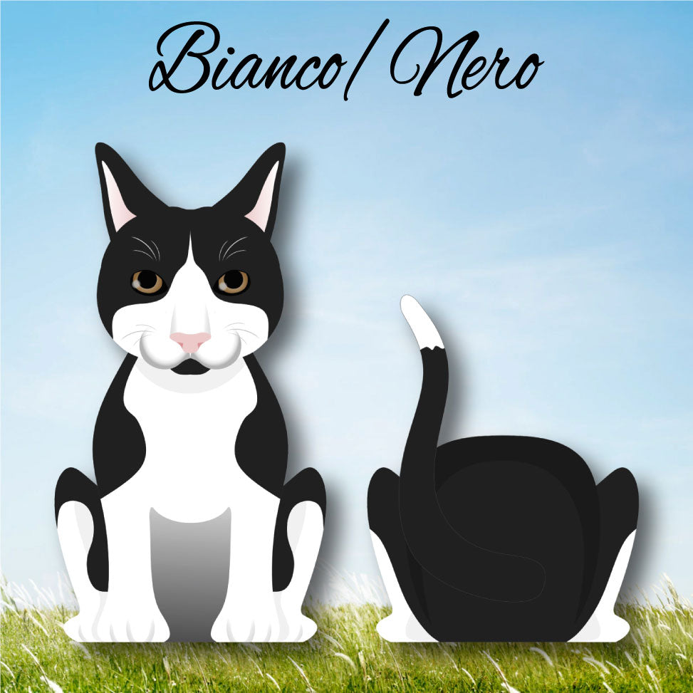 Cat Paw - Limited Edition