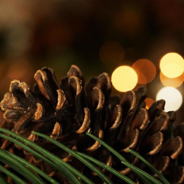 30 in. Long Pine Needle Artificial Christmas Wreath