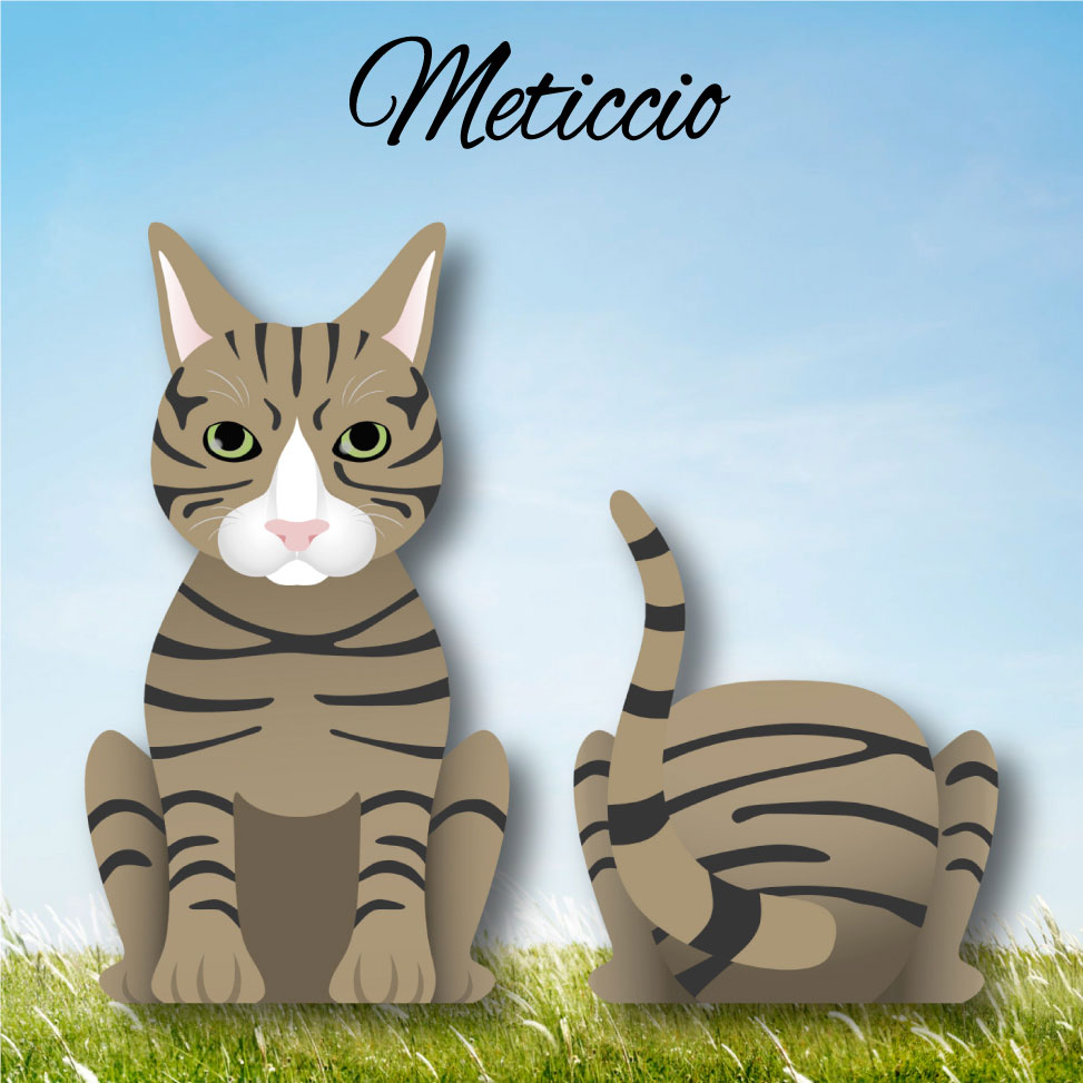 Cat Paw - Limited Edition