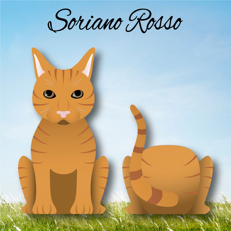 Cat Paw - Limited Edition