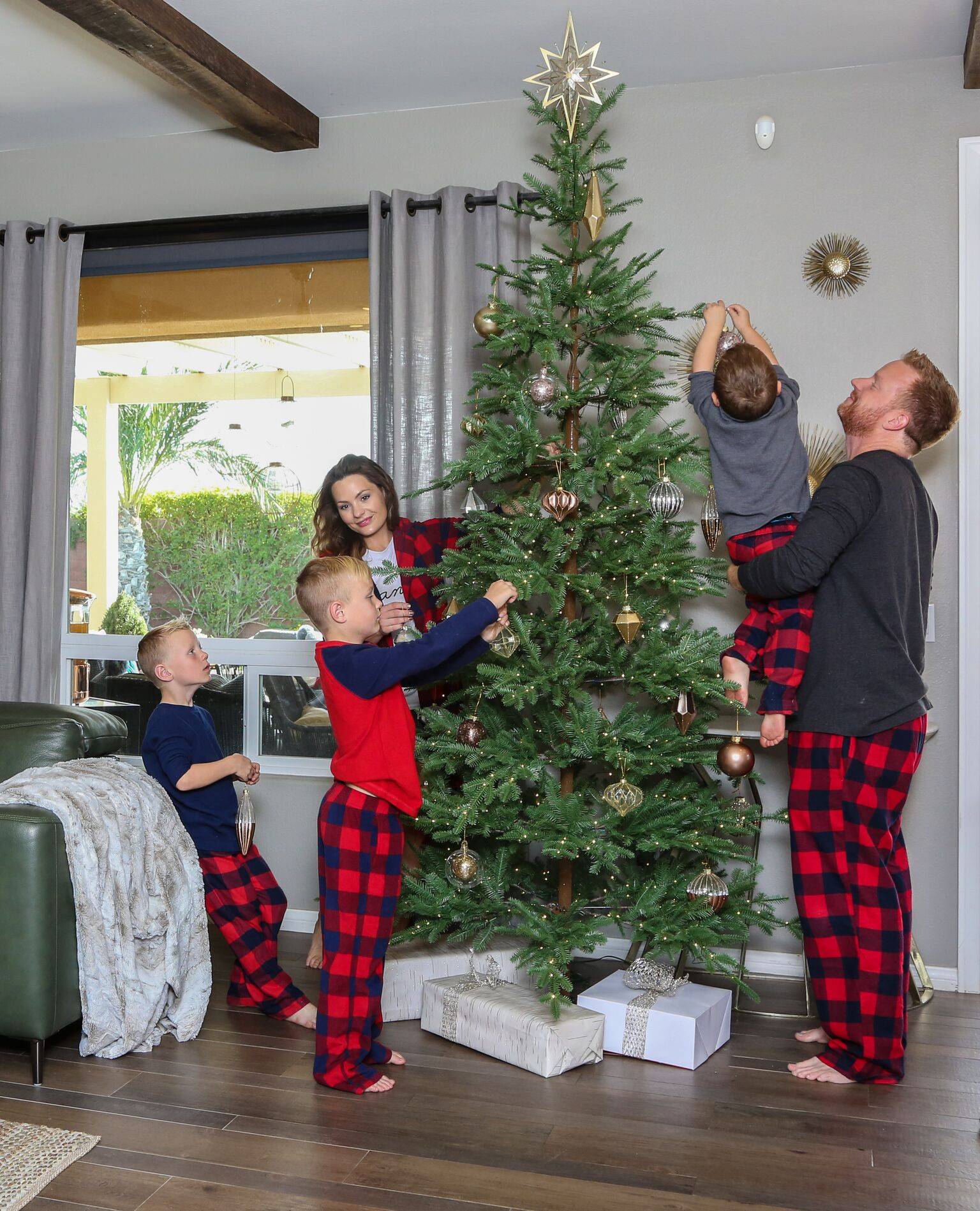Alpine Balsam Fir? Tree