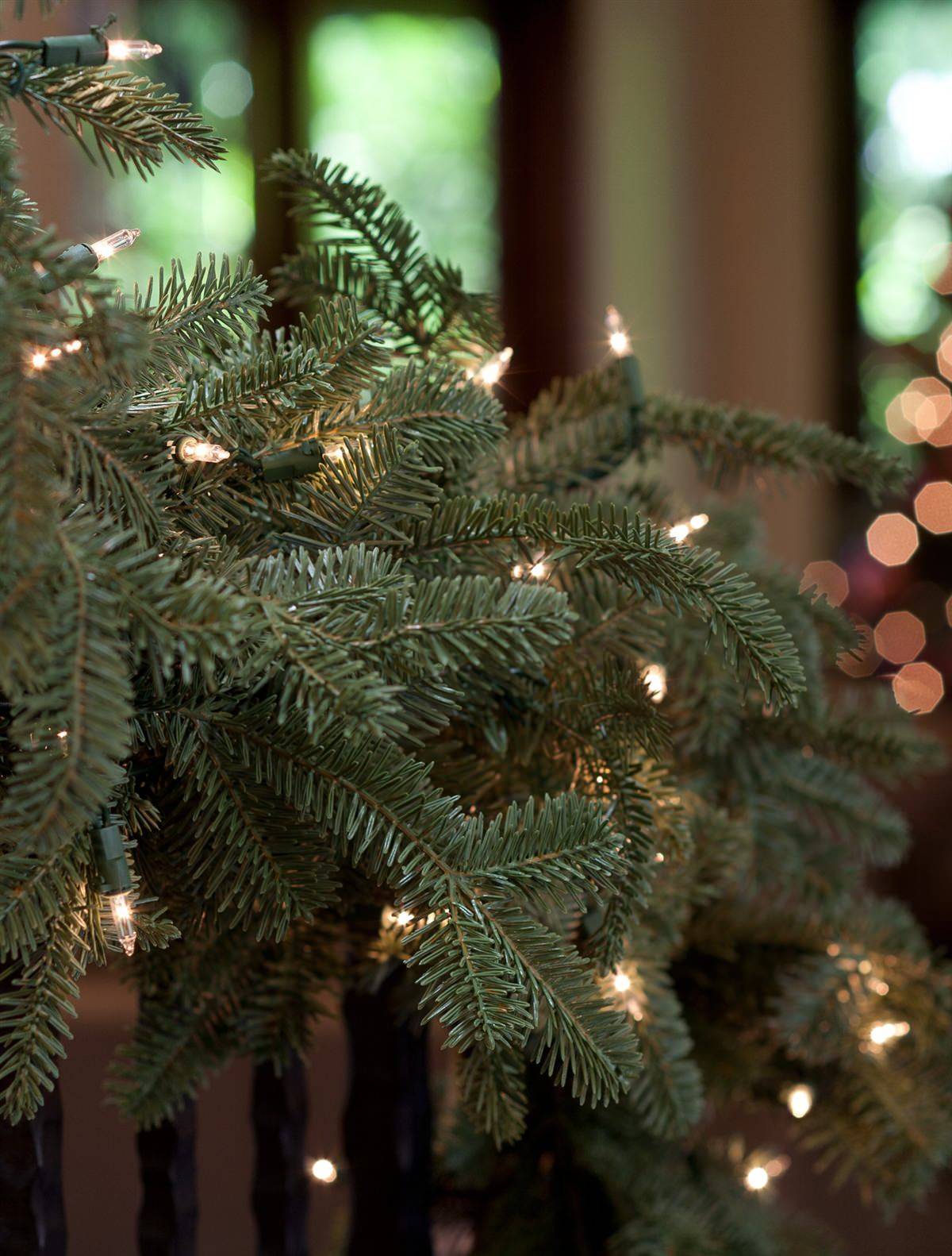 48 in. Downswept Douglas Fir Artificial Christmas Wreath