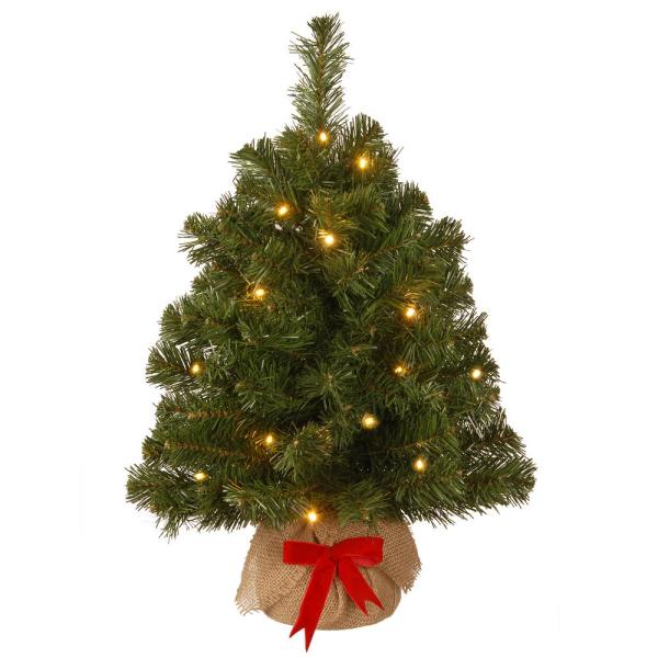 24 in. Noble Spruce Tree with Battery Operated LED Lights