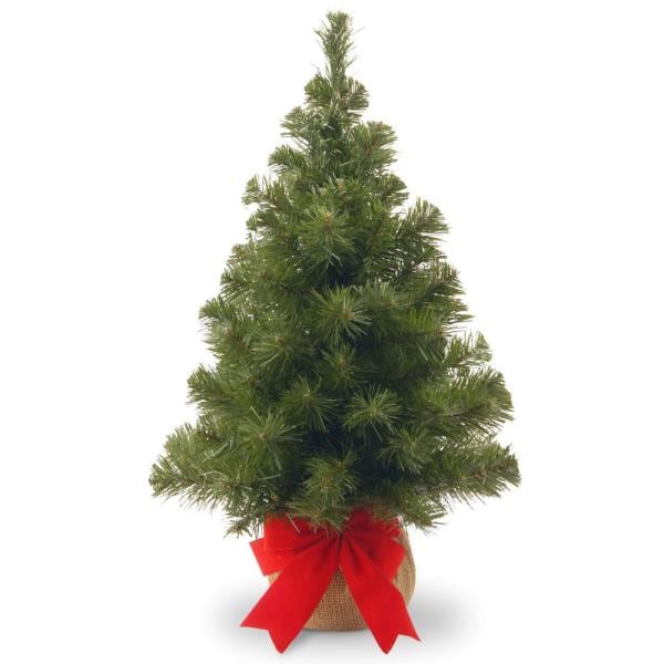 4 ft. Snowy Bristle Pine Entrance Tree with Clear Lights