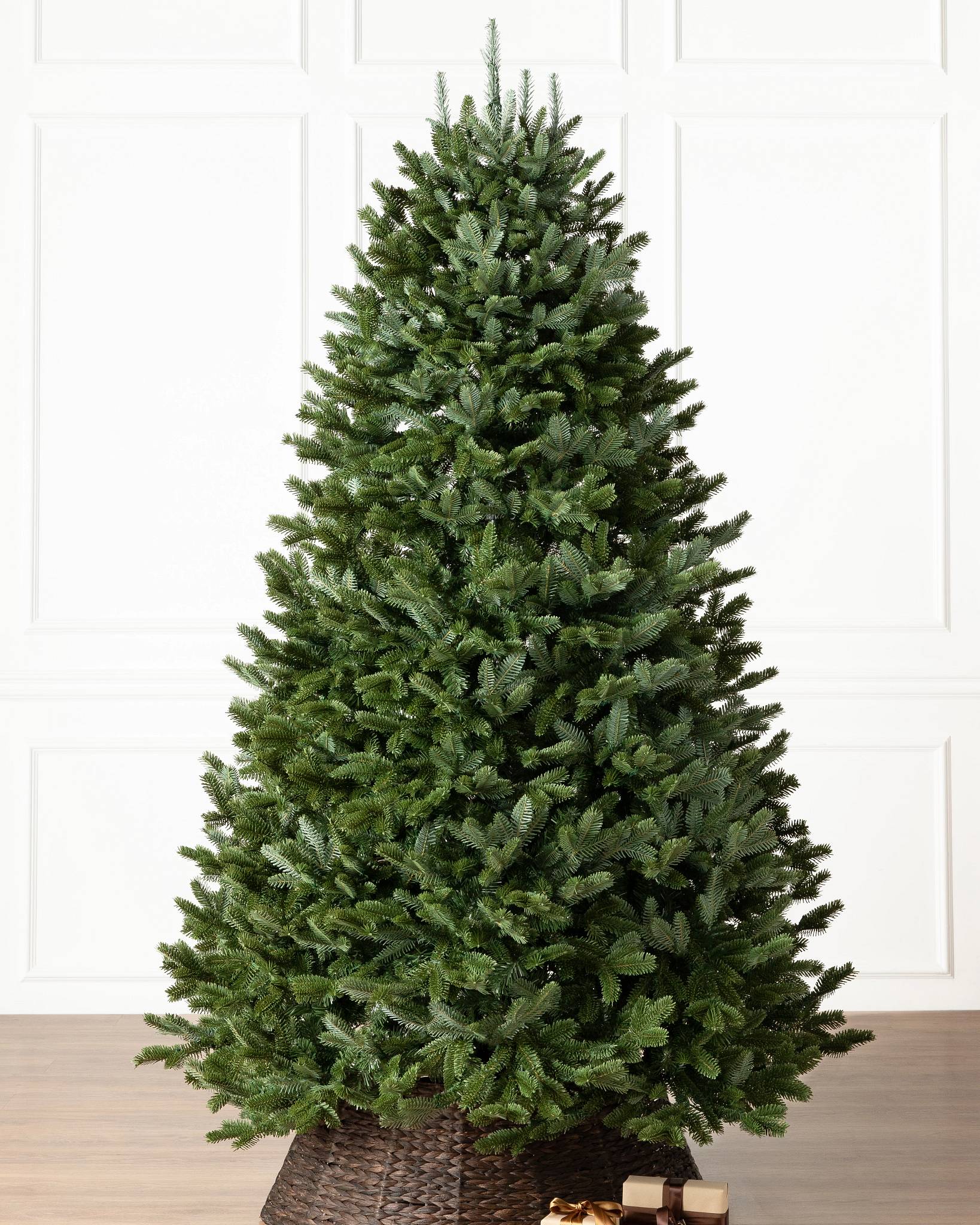 BH Fraser Fir? Tree