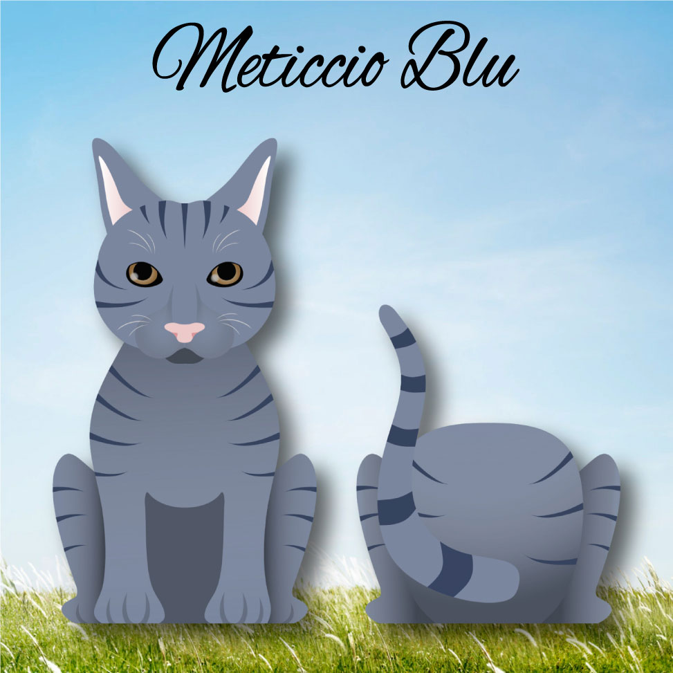 Cat Paw - Limited Edition