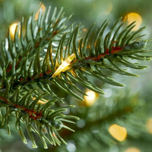 7.5 ft Elegant Grand Fir LED Pre-Lit Artificial Christmas Tree with 2000 Warm White Micro Dot Lights