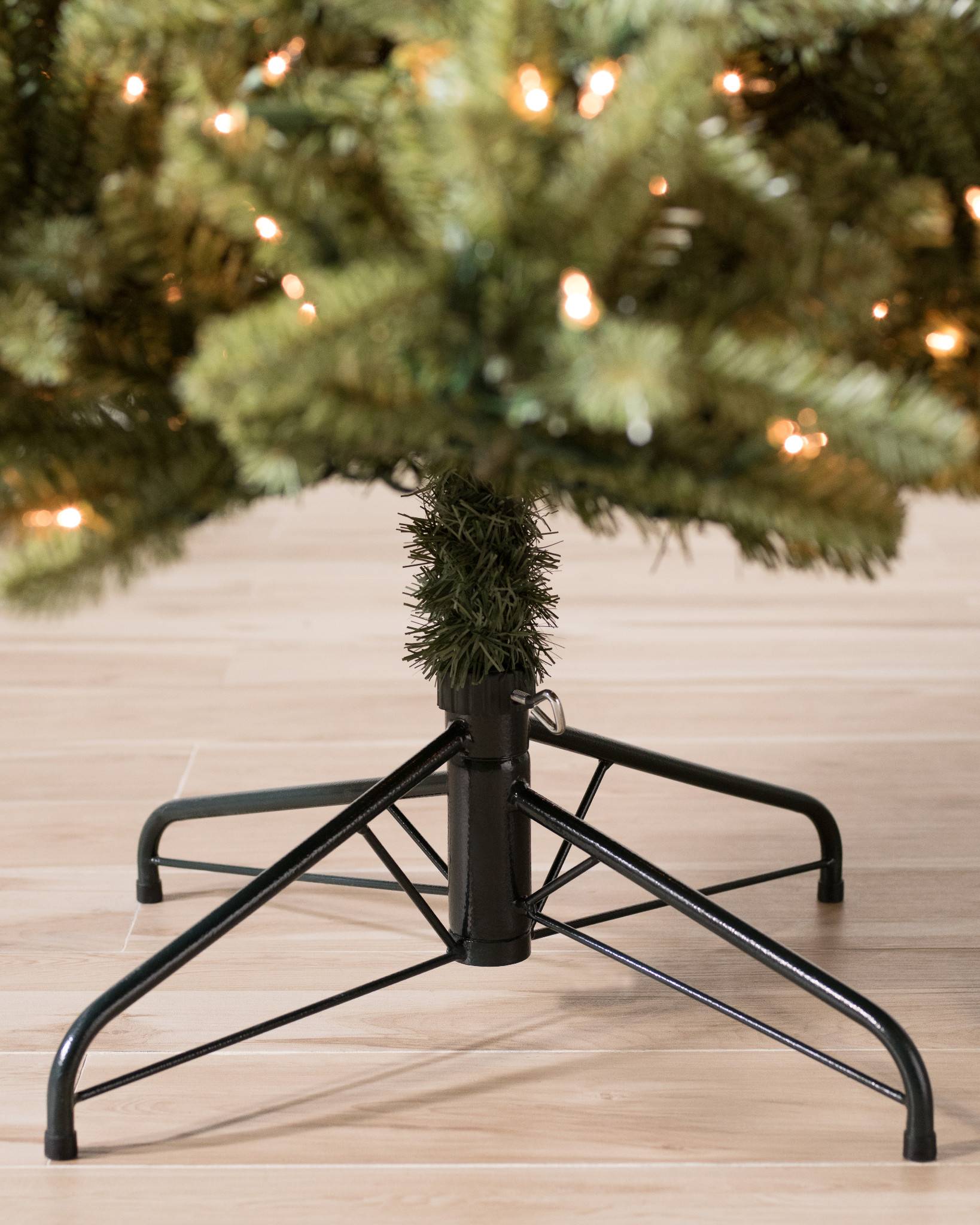 Classic Blue Spruce?