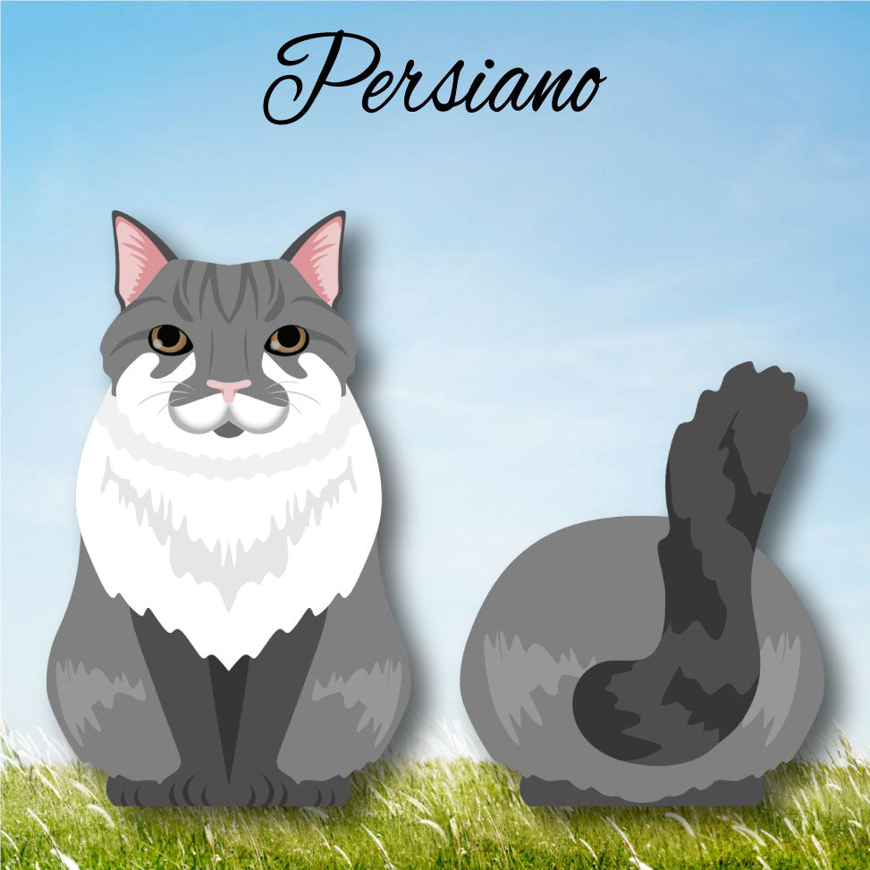 Cat Paw - Limited Edition