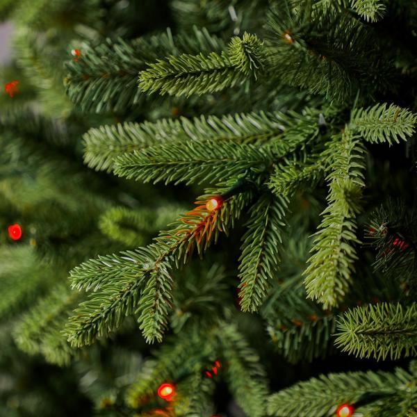 9 ft Swiss Mountain Black Spruce Twinkly Rainbow Christmas Tree with 600 RGB LED Technology Lights