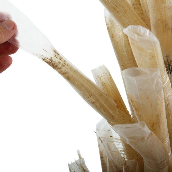 5.9 ft. Champagne Artificial Christmas Tree with Golden Paillette