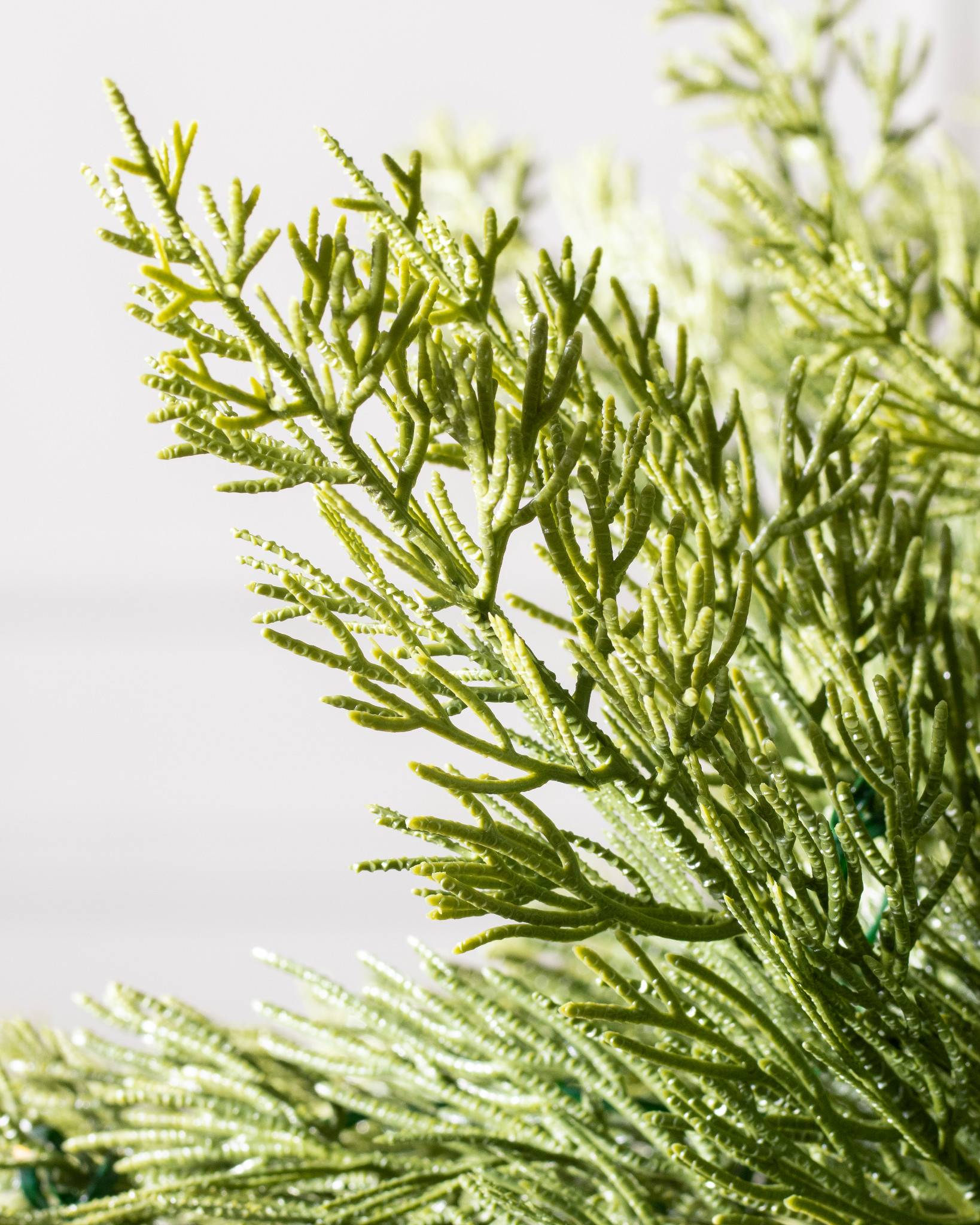 9 ft. Frasier Grande Artificial Christmas Tree with Dual Color LED Lights