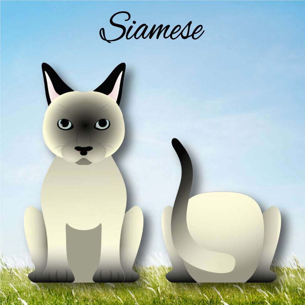 Cat Paw - Limited Edition