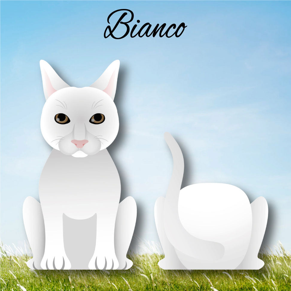 Cat Paw - Limited Edition