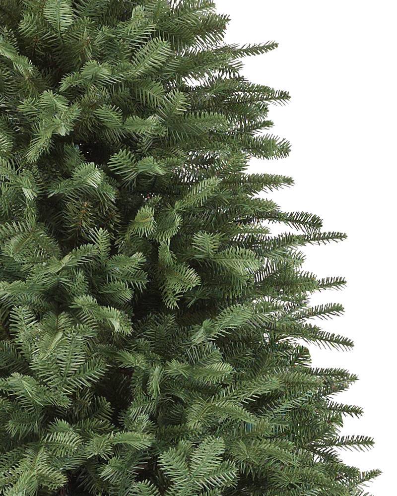 BH Balsam Fir?