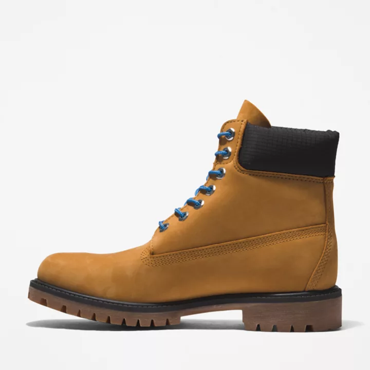 Bottine 6-inch Timberland Premium pour homme en jaune/bleu