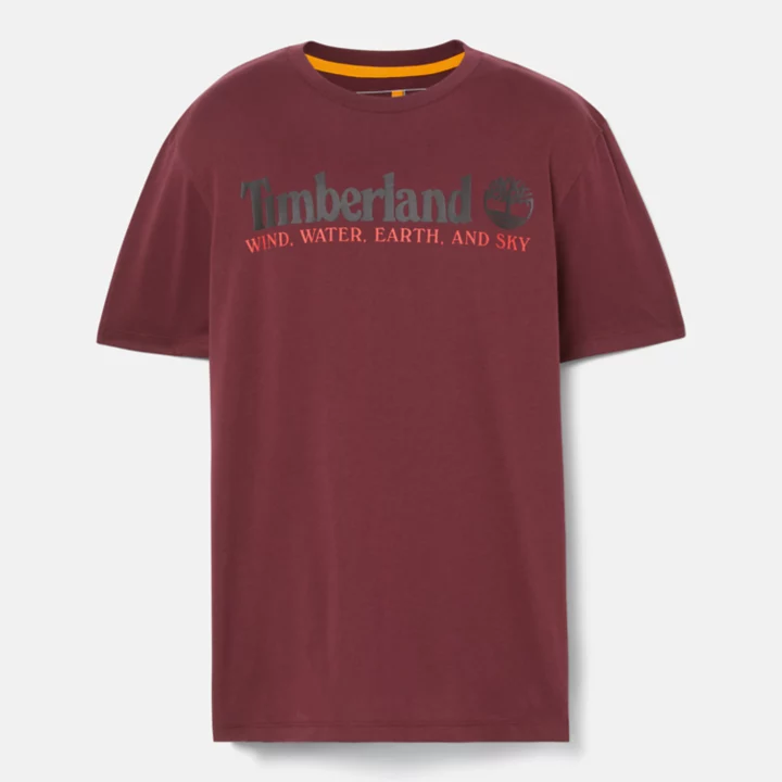 Wind, Water, Earth, and Sky T-Shirt for Men in Burgundy