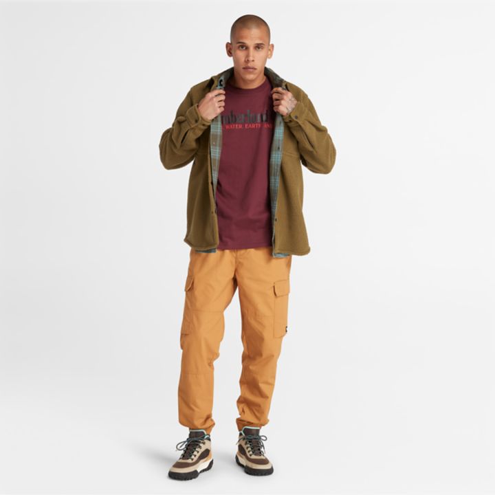 Wind, Water, Earth, and Sky T-Shirt for Men in Burgundy