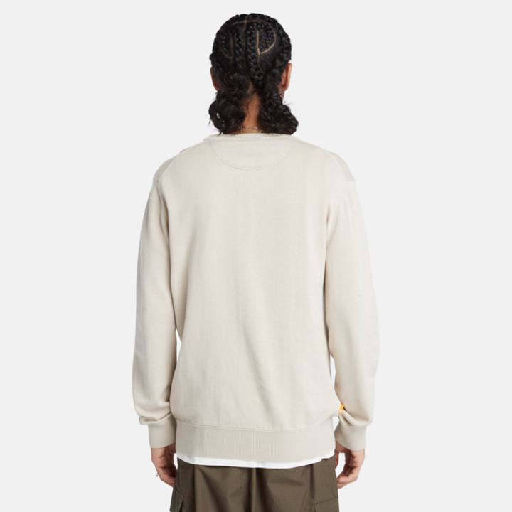 Williams River Crewneck Jumper for Men in Beige